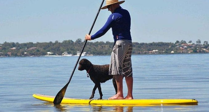 Le Stand-Up Paddle 3